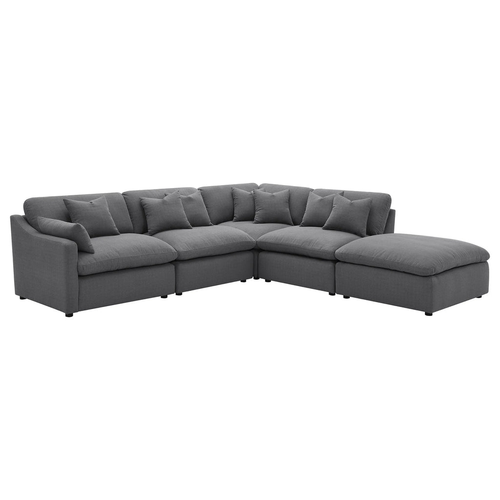 Terra Cloud Collection