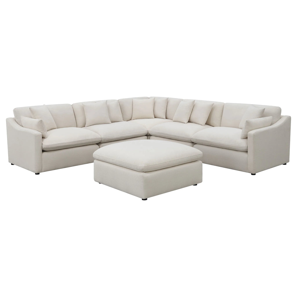 Terra Cloud Collection